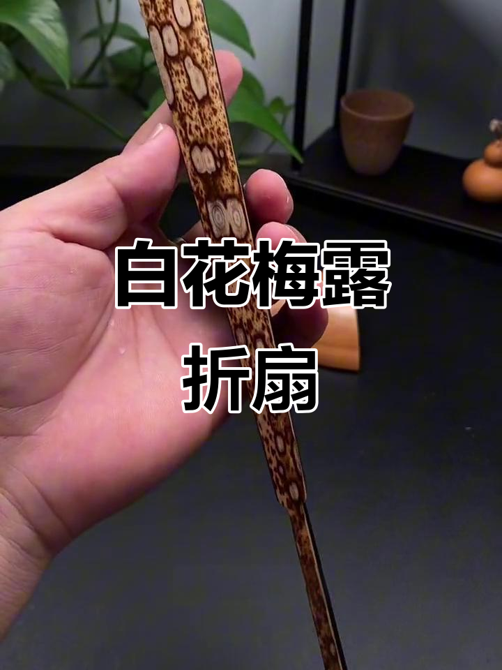 九五寸白花梅露折扇,浙派大师李昌邑手工制作,丝滑流畅无瑕疵