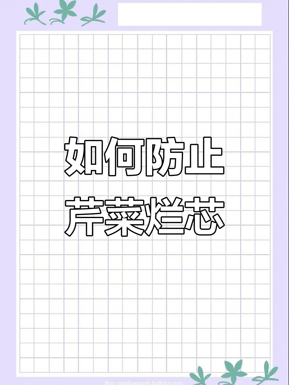 芹菜烂心防治技巧,轻松提高产量与品质