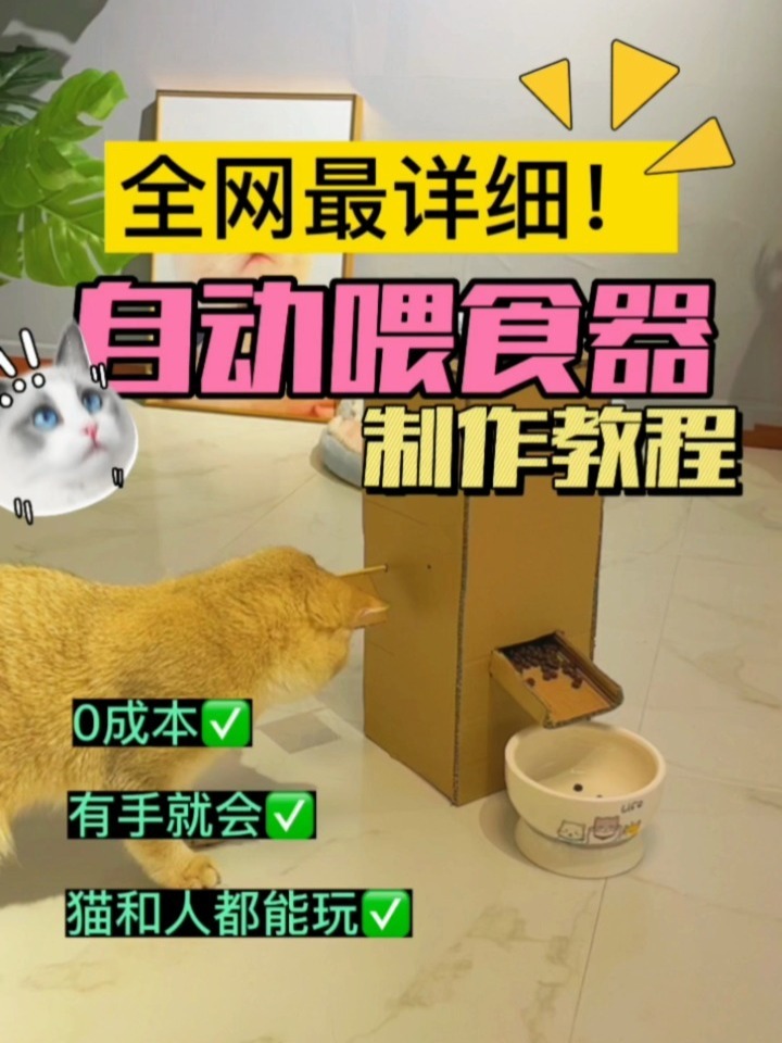 如何自制猫咪喂食器!保姆级教程来了