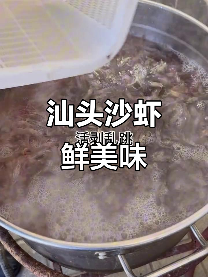 汕头野生沙虾,壳脆肉甜,鲜美无比
