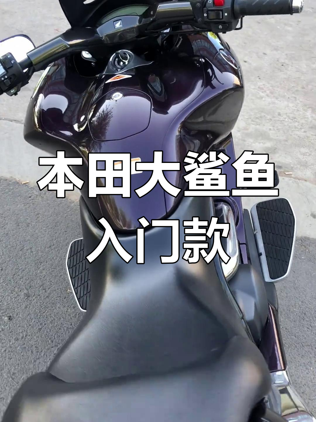 本田大鲨鱼:低坐姿、双缸水冷,轻松上手!