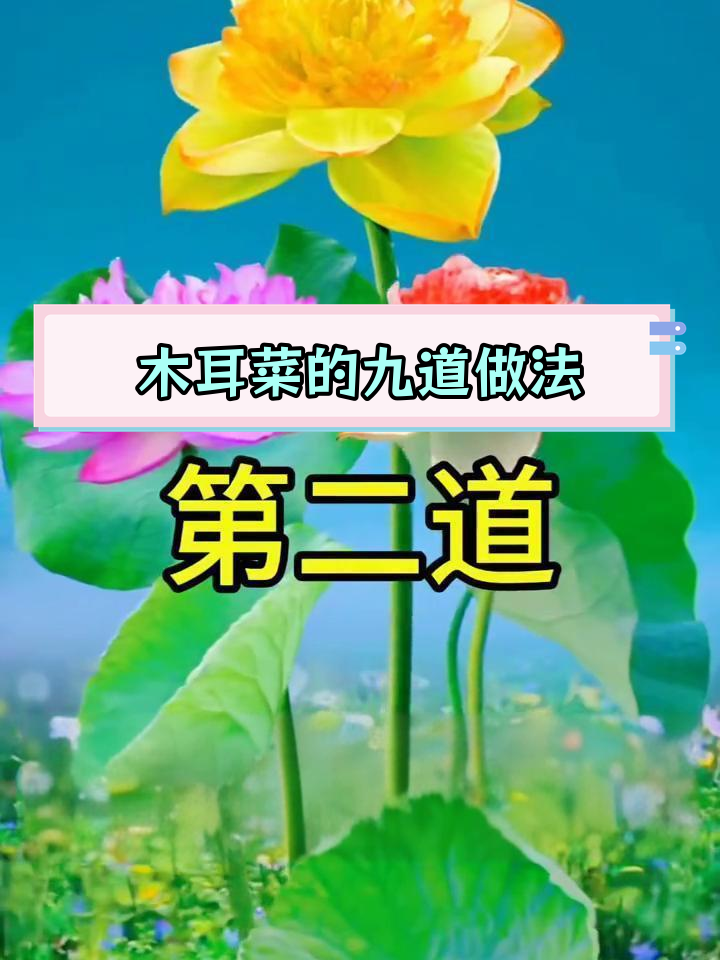木耳菜九种家常做法,轻松学做美味佳肴