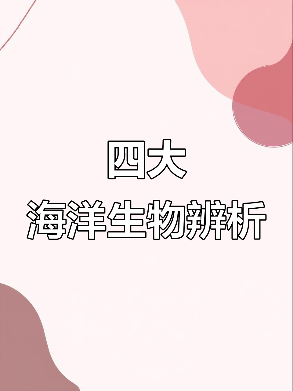 章鱼、鱿鱼、墨鱼和海兔大揭秘,原来它们不是一种生物!