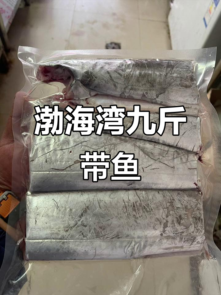 渤海湾霸王带鱼,九斤重超值美味