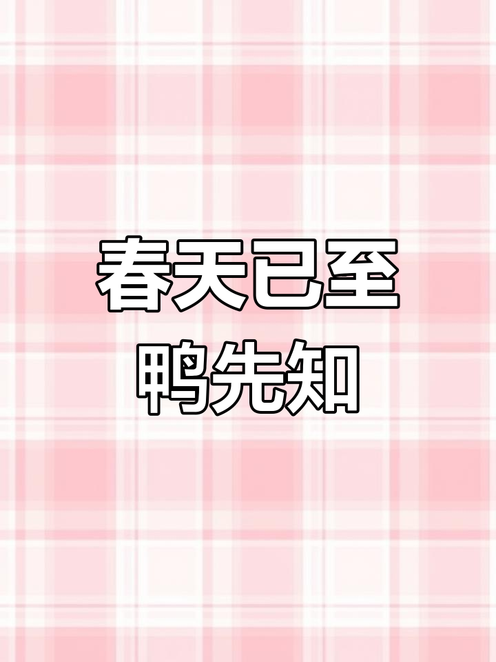 琼海嘉积池塘春暖,鸭子戏水迎新季