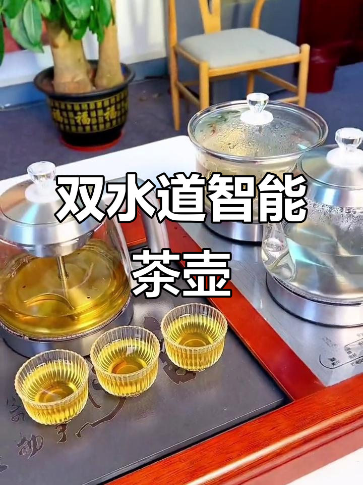 金杞茶壶,双水路设计,蒸汽煮茶更便捷