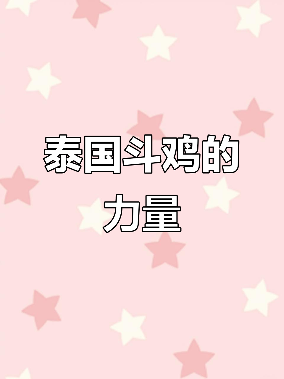泰国斗鸡:强壮、霸气,性能旺盛的战斗机