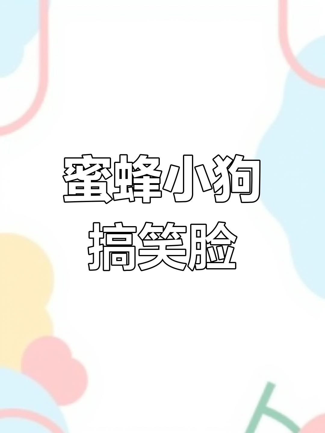 2月20日网友偶遇“蜜蜂小狗”,脸部肿成表情包