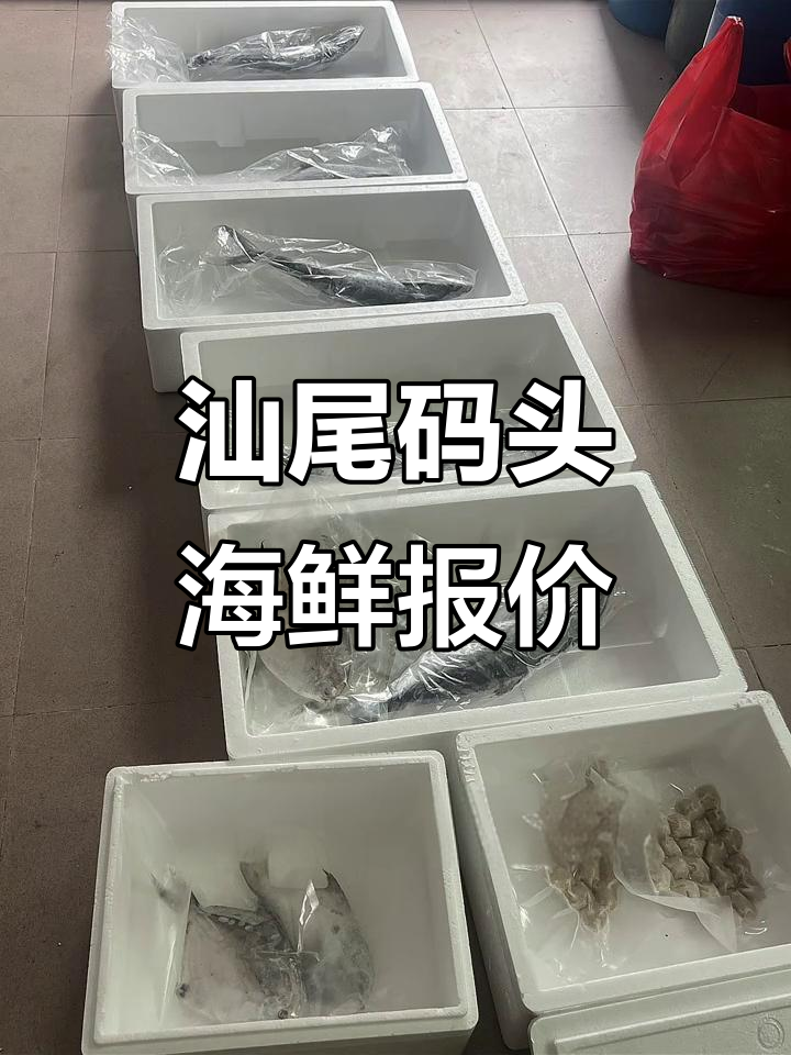 汕尾码头海鲜价格大揭秘,豆腐鱼到龙虾一应俱全