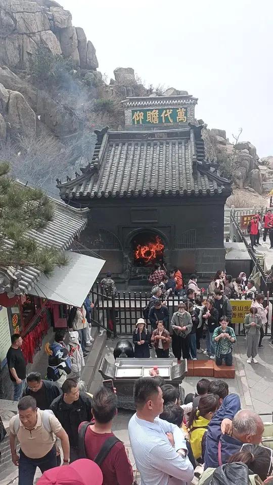 祝泰山老奶奶生日快乐