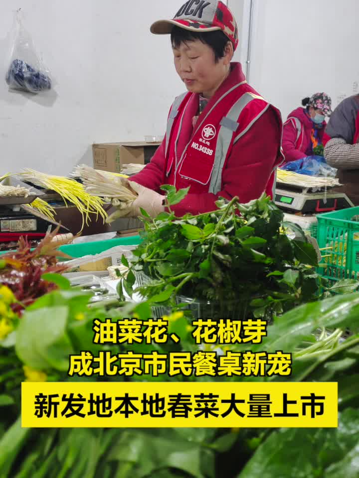 油菜花、花椒芽成北京市民餐桌新宠,新发地本地春菜大量上市