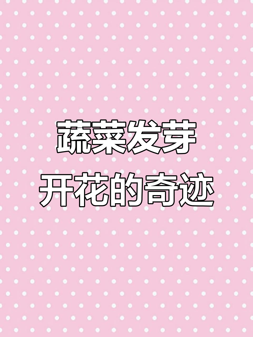 冰箱里的蔬菜竟然开花,真是神奇!