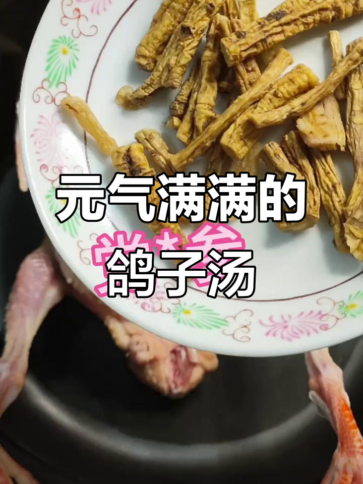 冬季必喝鸽子汤,滋补元气满满