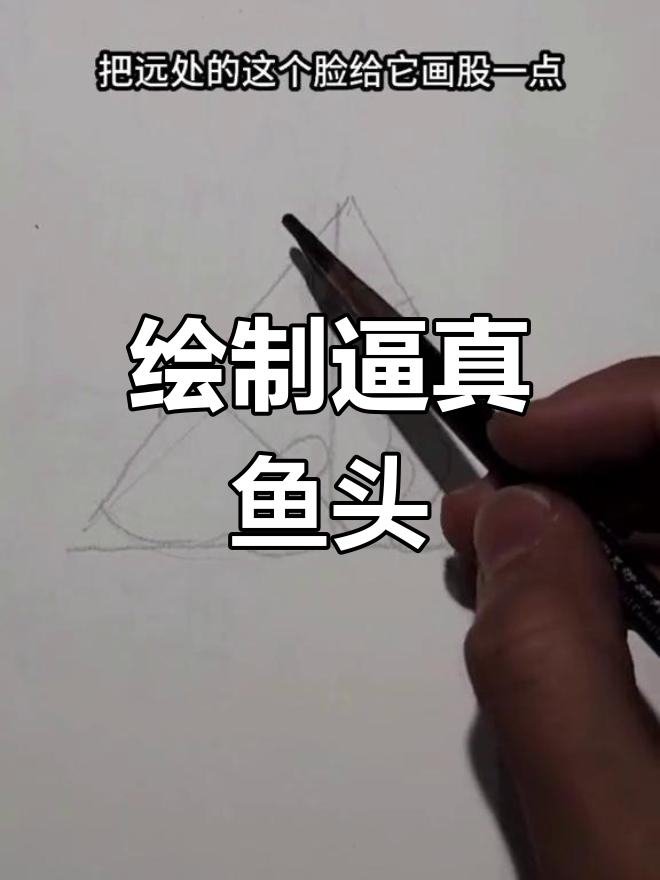 学画写实鱼头技巧