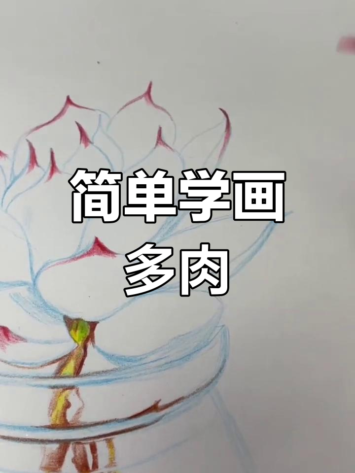 用彩铅绘制多肉植物的技巧