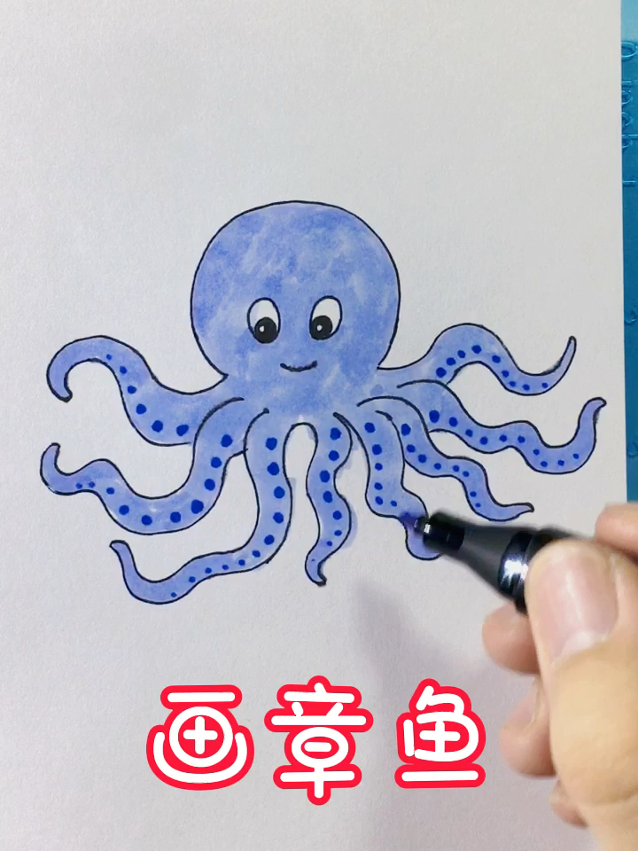 画章鱼