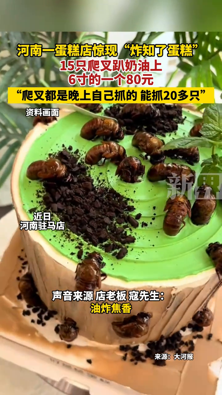 河南一蛋糕店惊现“炸知了蛋糕” 6寸的一个80元