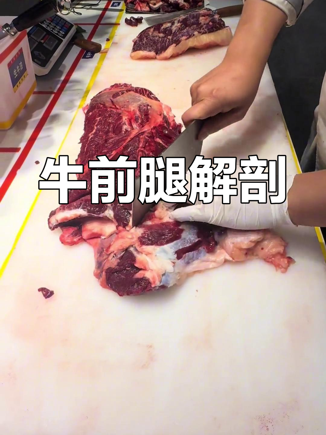 匙柄肉分解全解析,吊龙哥带你揭秘!