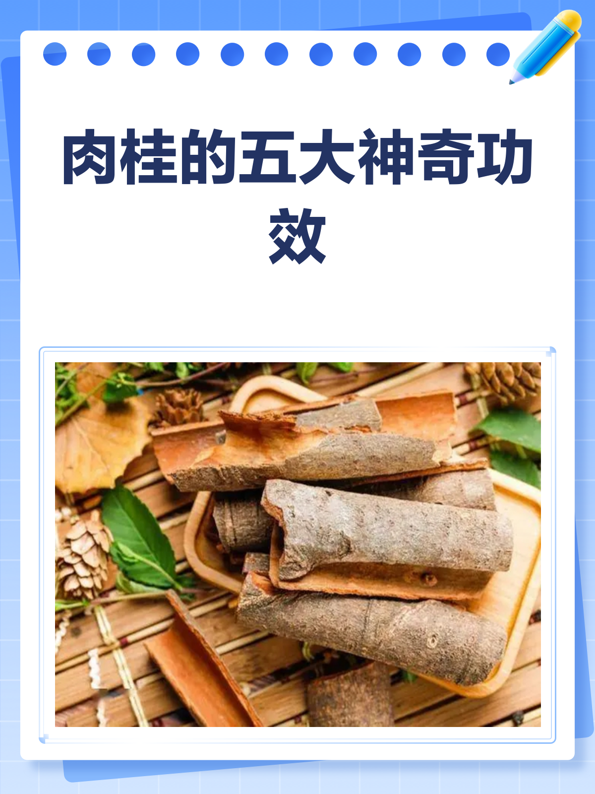 肉桂不只是香料!它的这些功效你知道吗?