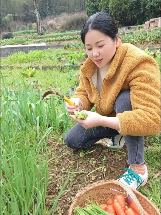 香葱包饺子味道超棒,感受田园生活的惬意