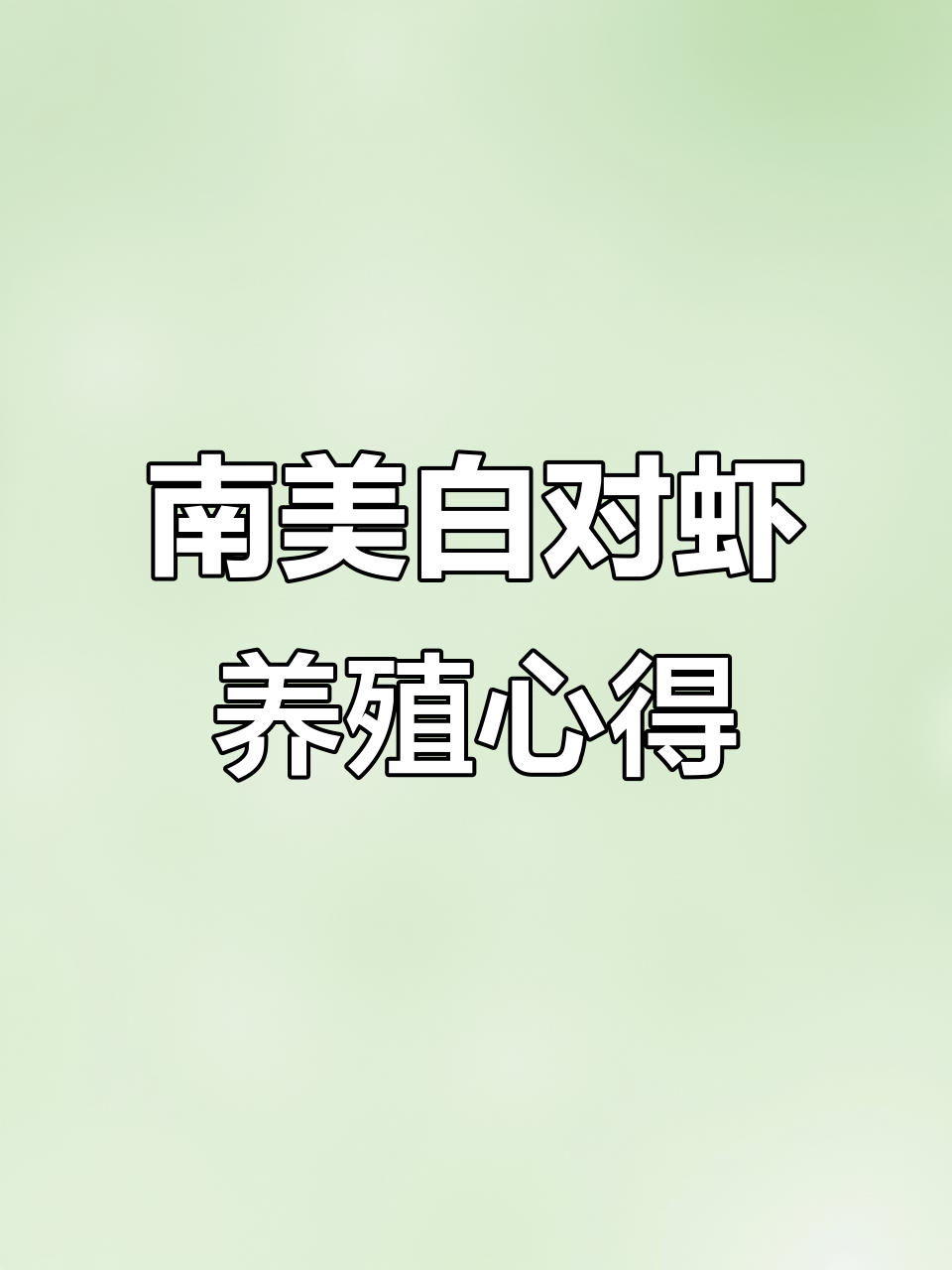 20天养殖挑战，南美白对虾的成长与挣扎