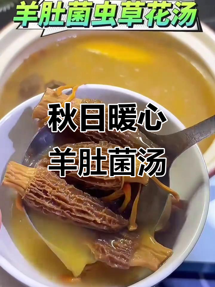 秋季润燥汤,羊肚菌虫草花炖汤滋补养生