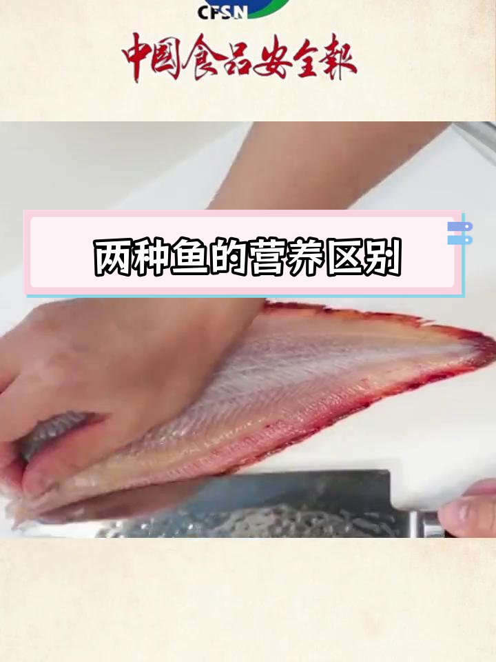 龙利鱼与巴沙鱼的营养差异解析