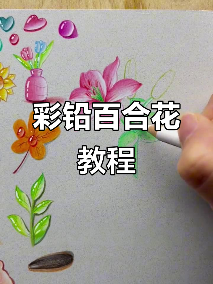 画出晶莹剔透的彩铅百合花，步骤详解教你轻松掌握