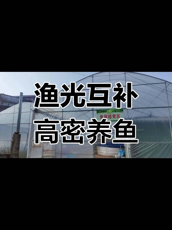 高密度养殖与光伏互补,打造绿色渔业