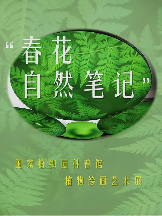 自然笔记|国家植物园科普馆植物绘画艺术展