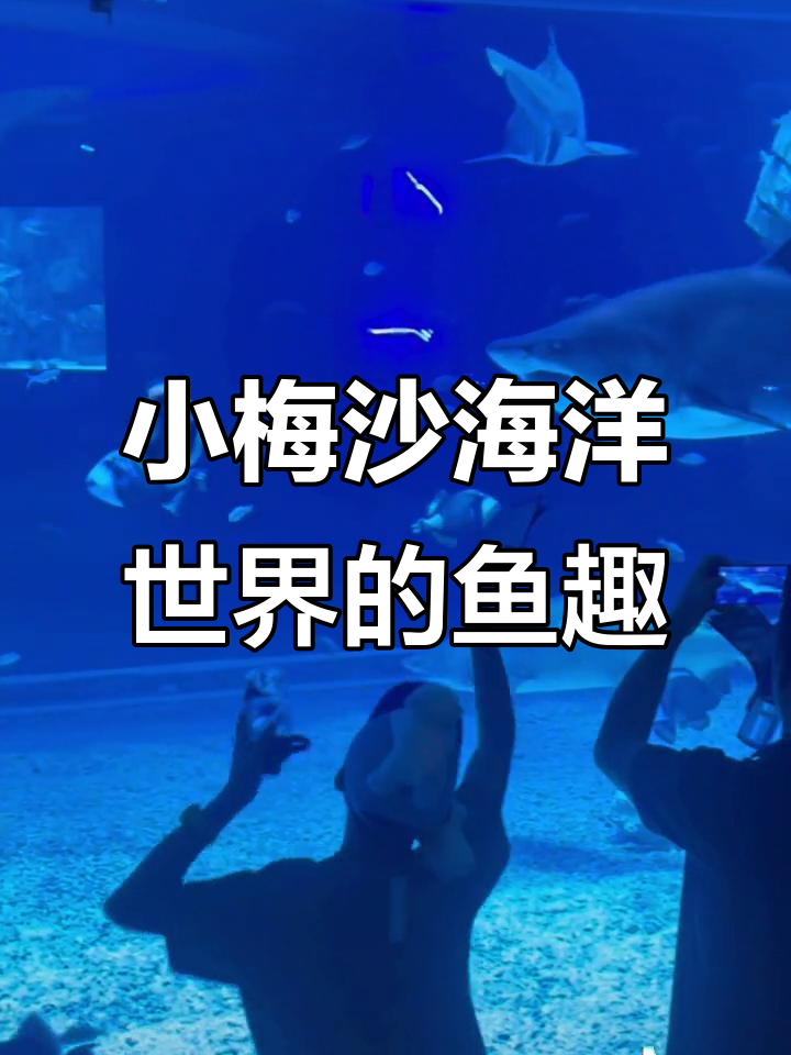 深圳小梅沙海洋世界:鱼儿与荷塘的美丽邂逅
