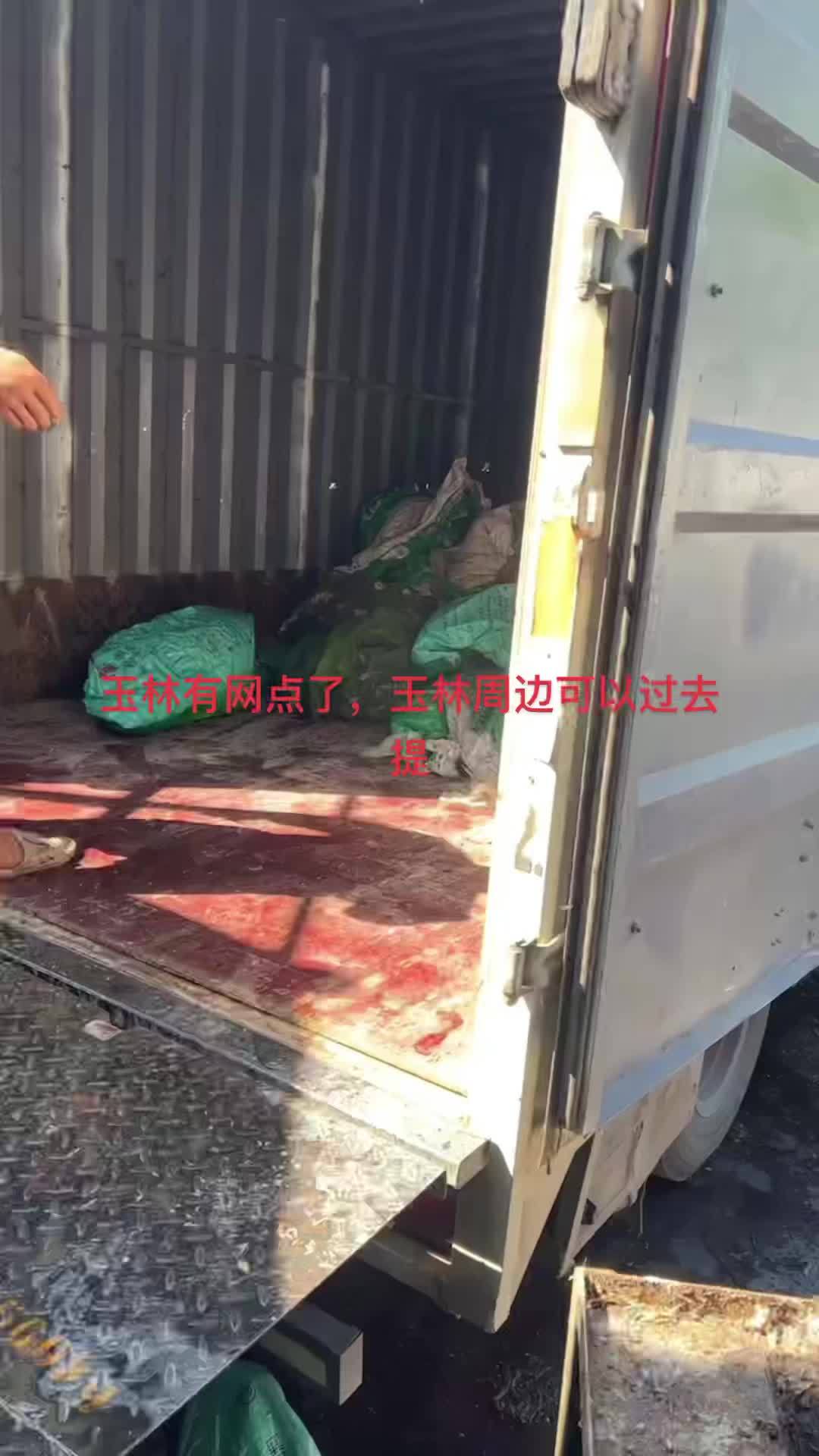 玉林牛蛙提货点八林村小学,离得近的可以直接过去提货!肉狗养殖 狗场 狗贩子 土狗养殖场 养