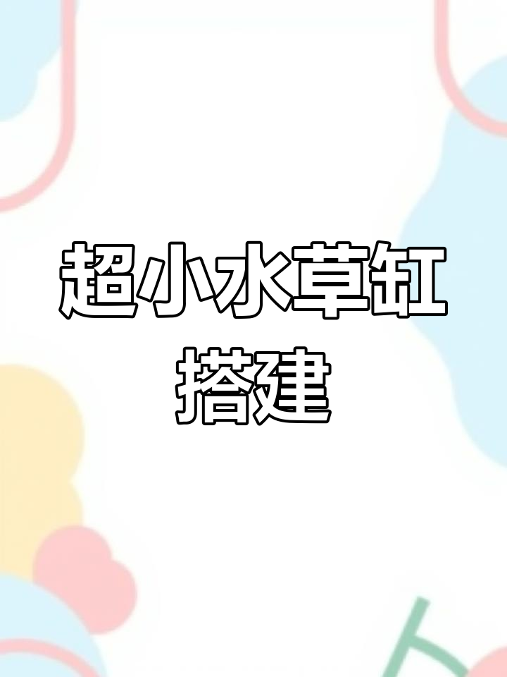 迷你鱼缸开缸全攻略,打造袖珍水族世界