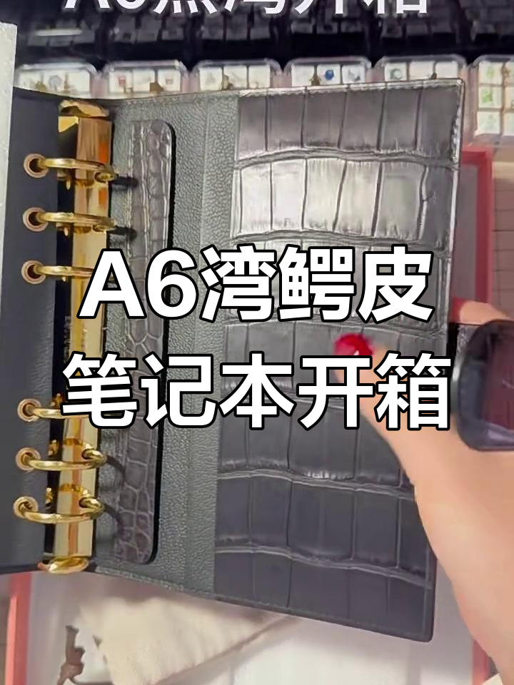 鳄鱼皮毕业本开箱,质感超乎想象!