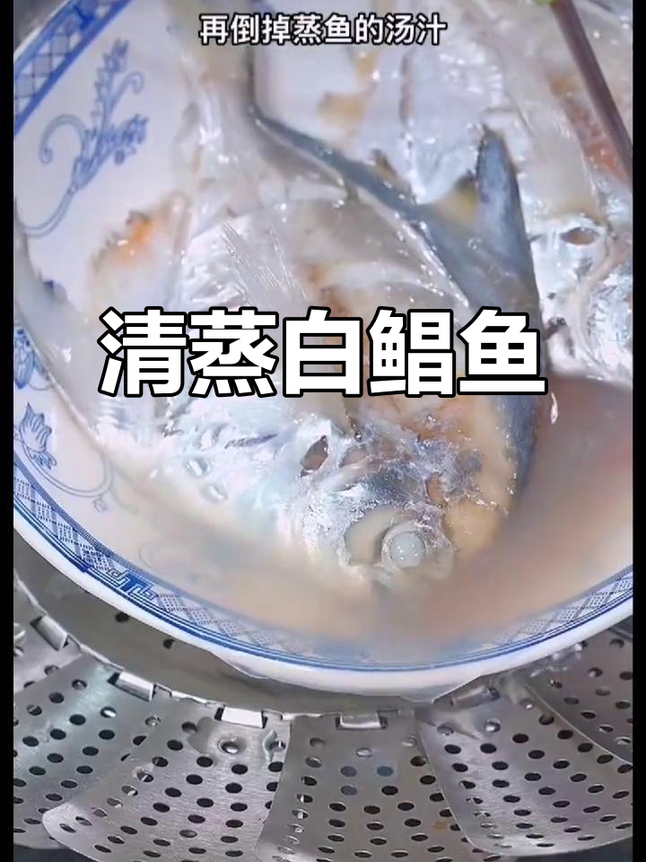 鲜嫩白鲳鱼,清蒸做法大揭秘