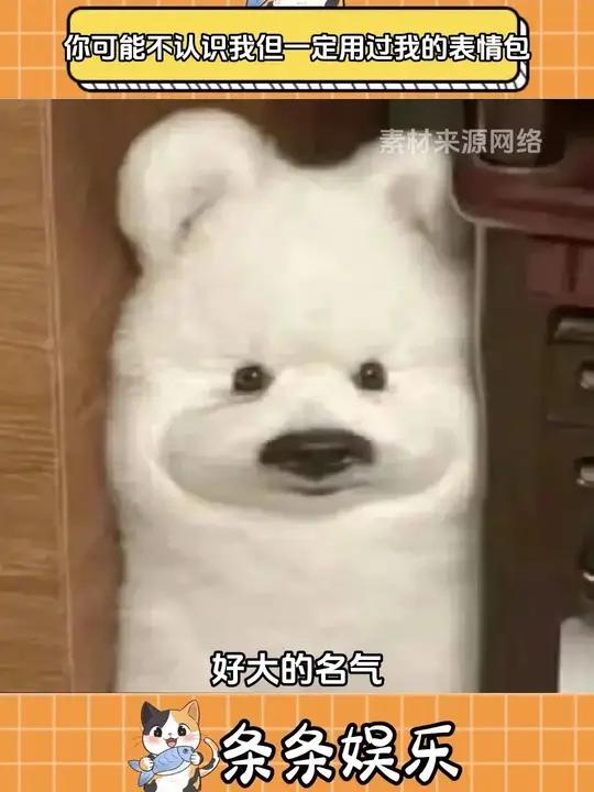 第一眼,不认识,第二眼,怎么都是我的表情包!