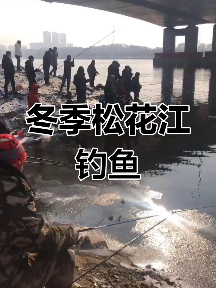 松花江冬钓大青灵,黑鱼岛子一网打尽