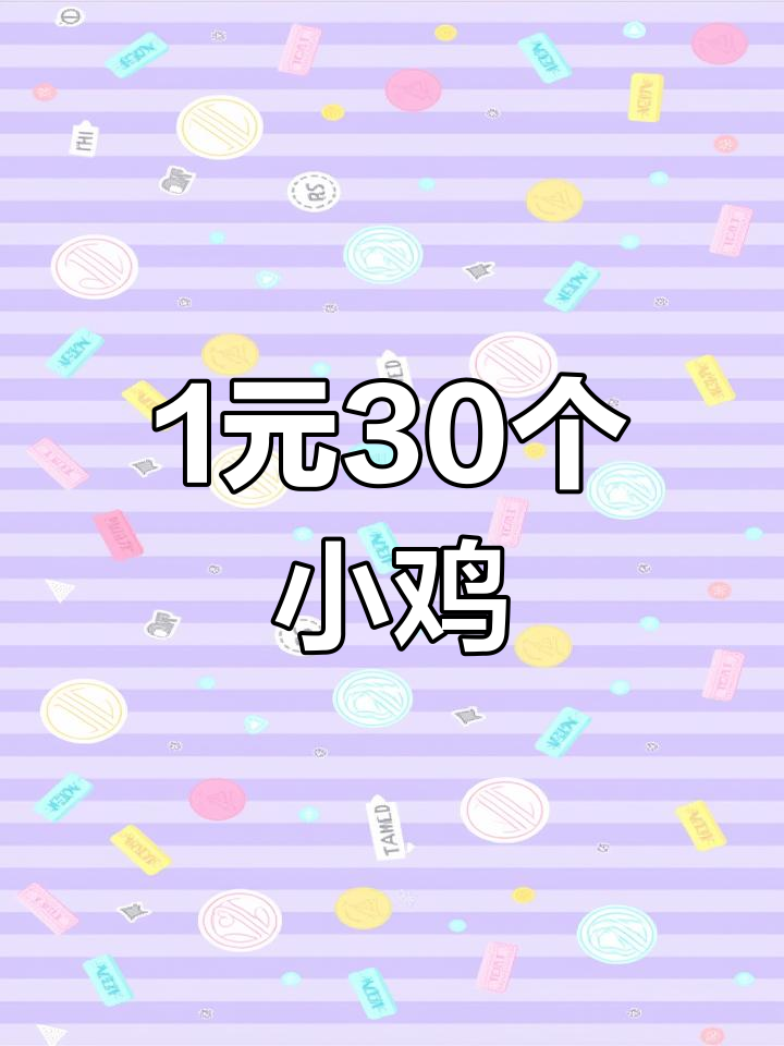 一块钱30只小鸡,毛蛋批发超值来袭