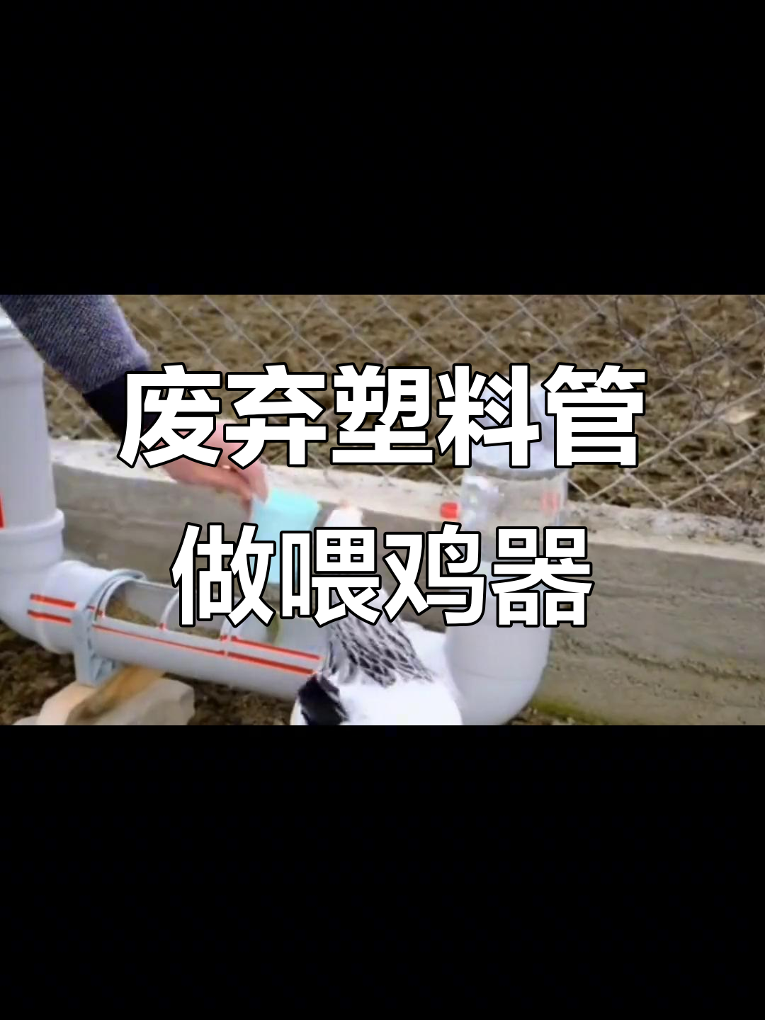 利用废PVC管打造自动喂鸡神器,简单又实用