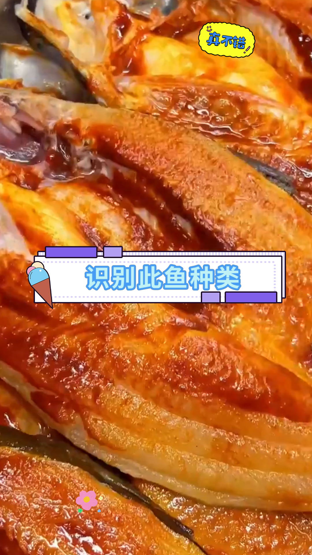 识别此鱼种类