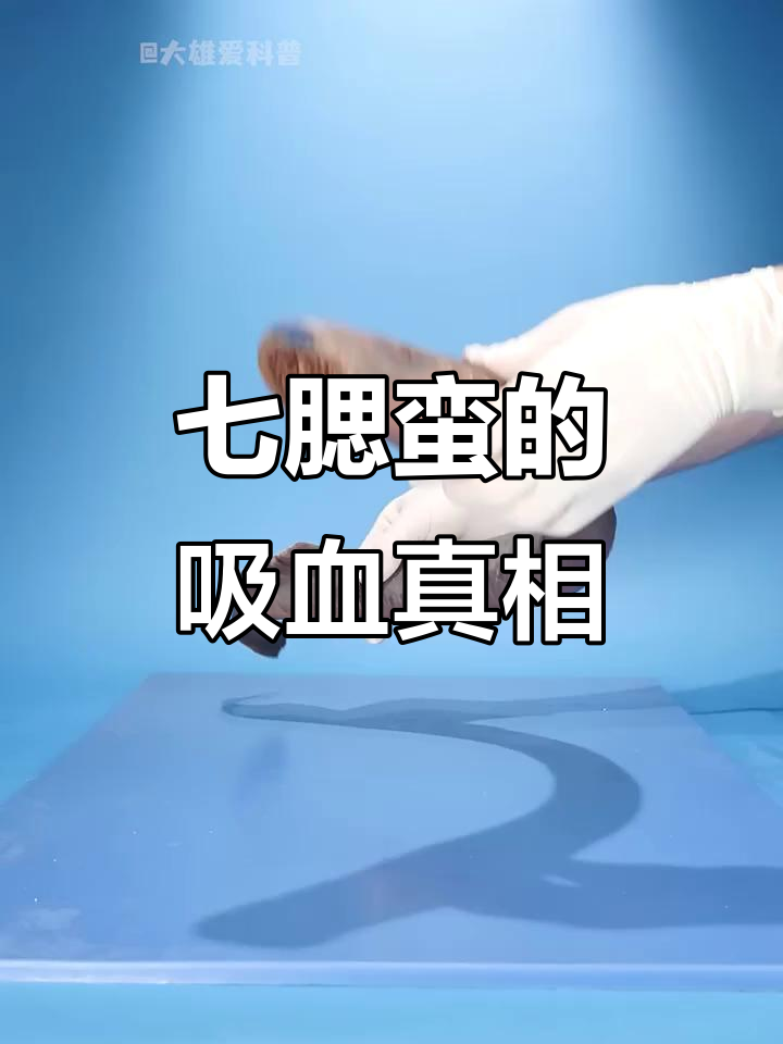七腮蛮:吸血鬼般的恐怖进食方式,揭秘僵尸鱼的秘密