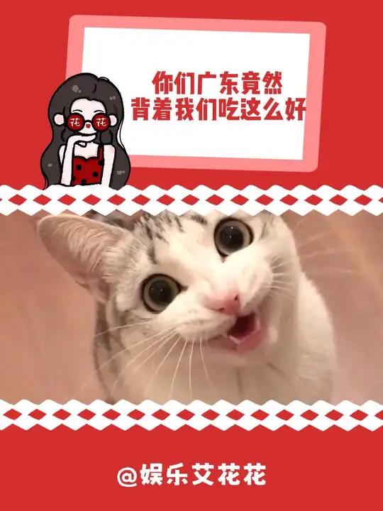 一个吃东西喜欢新鲜的地方,能活下来的罐头 泰奇八宝粥 食品安全 广东