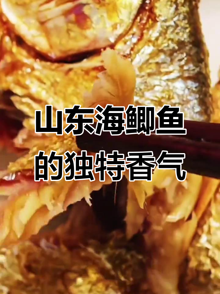 海鲫鱼自带油香,煎炸蒸煮都美味