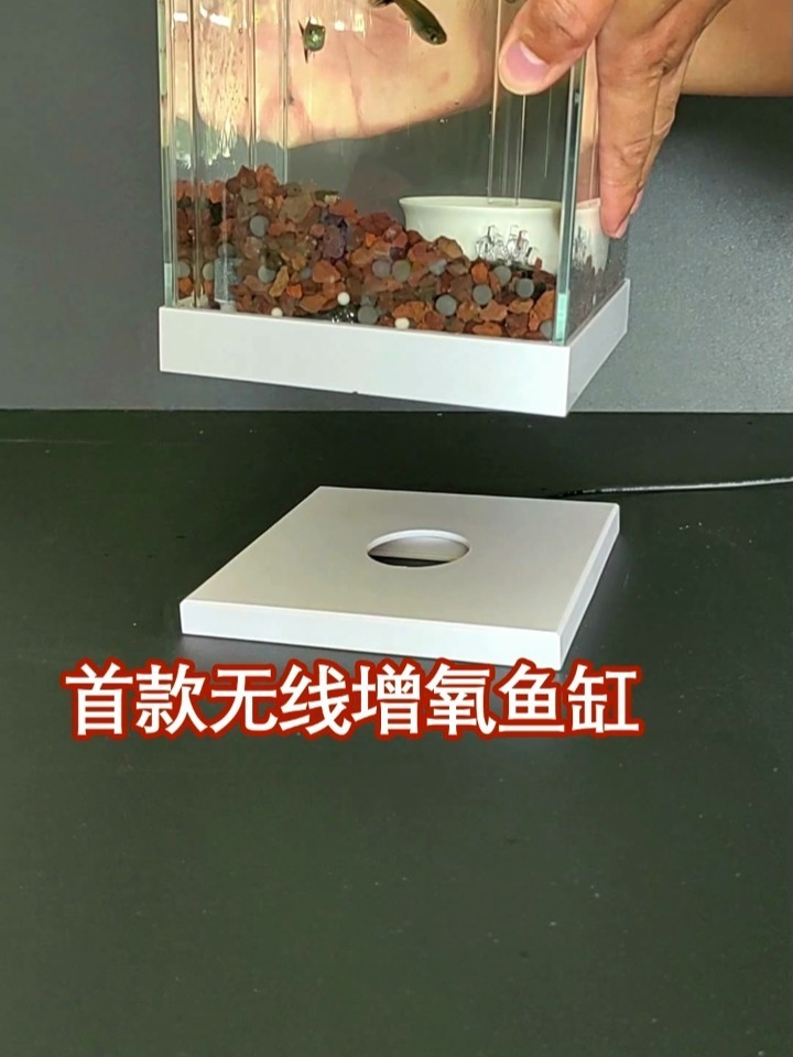 无线增氧小鱼缸,海缸陆水缸通用!