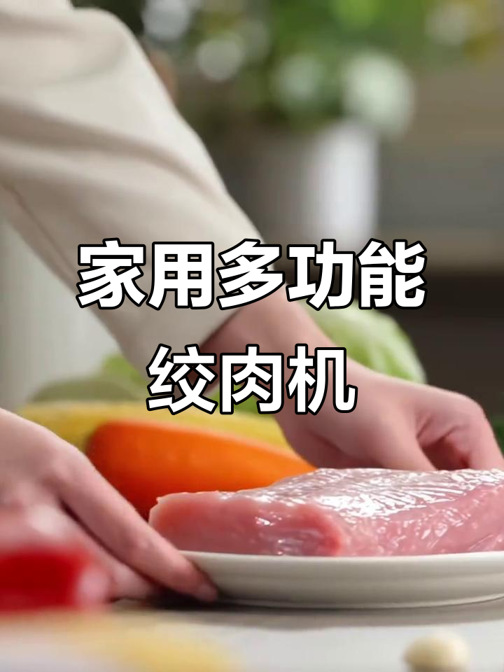 苏泊尔绞肉机,家用全自动,碎馅打料一机搞定