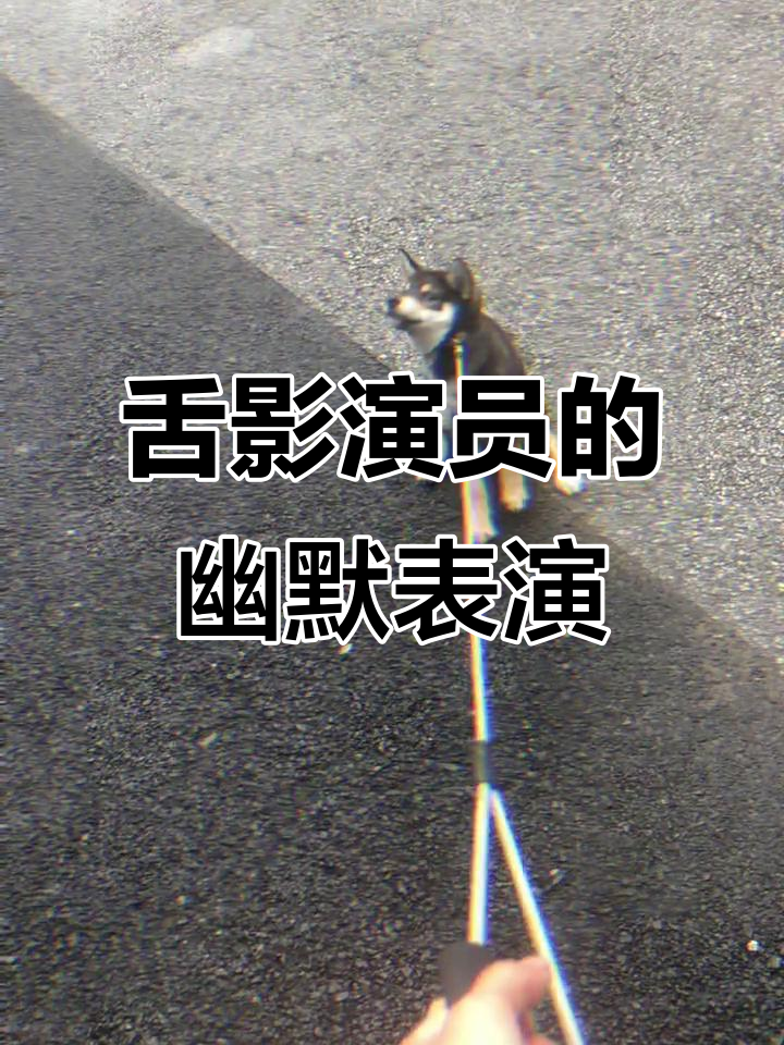 舌影演员古将蛇蛇鱼带来无限欢乐，挑战极限动作与搞笑演绎