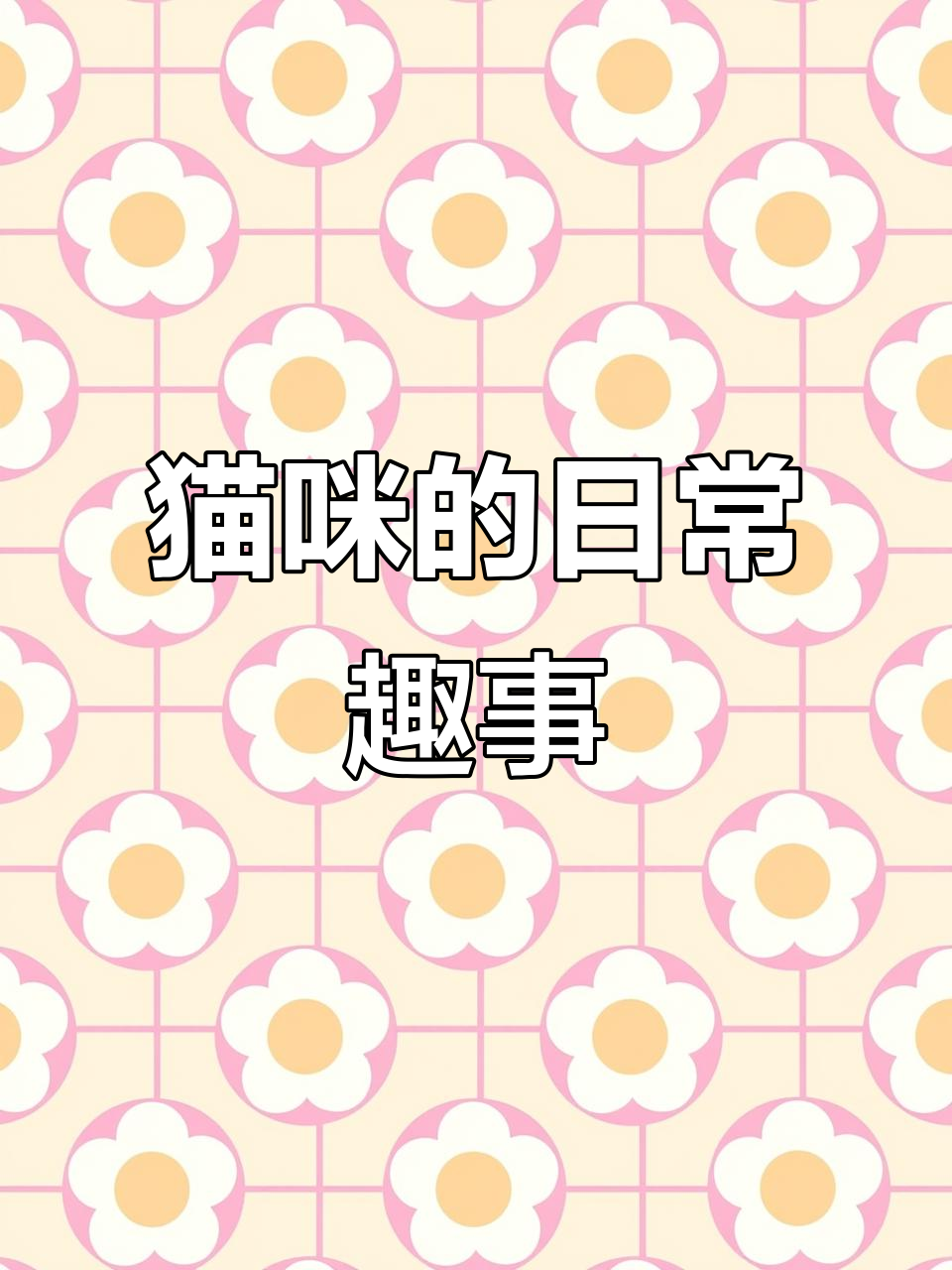 小猫的可爱日常，尾巴长又软，爱吃小鱼