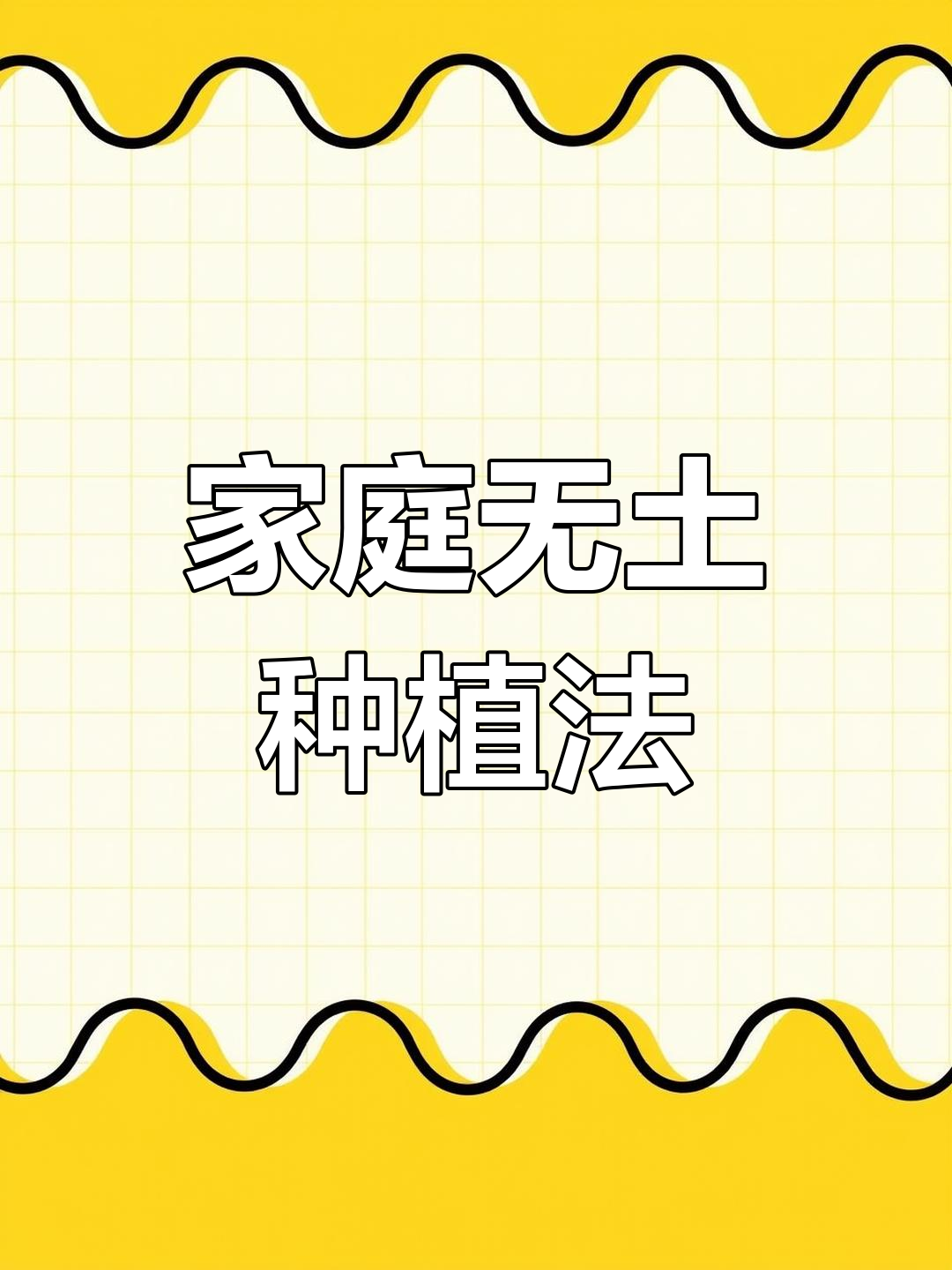 在家轻松种出新鲜蔬菜,简单易学的种植技巧