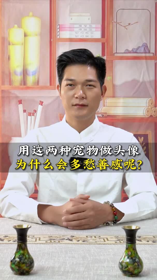 分析头像性格之用猫狗做头像的人是什么性格