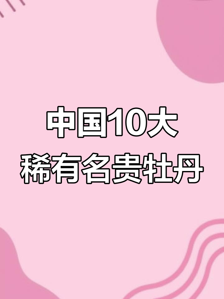 宋代名贵牡丹品种大揭秘:十大稀有珍品